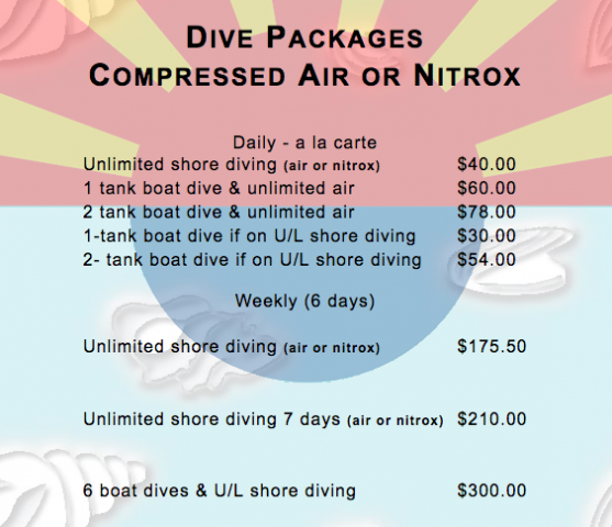 Dive Packages: Compressed Air or Nitrox (Source: SunRentals)